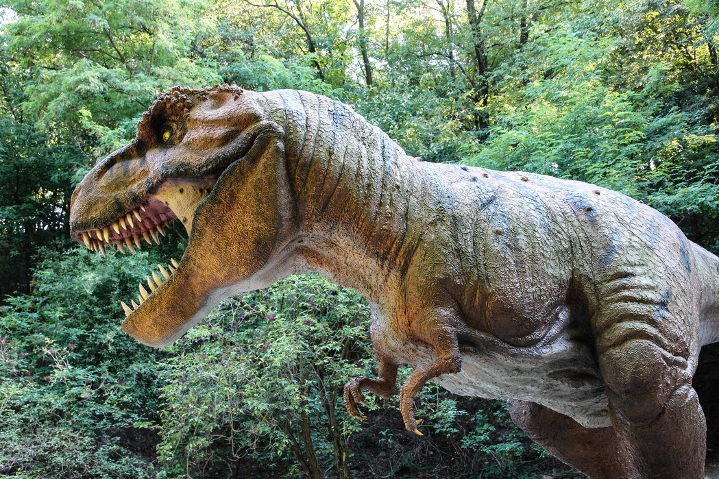 dinosaur